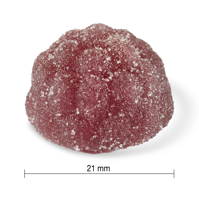 Jamieson Probiotic Immune Support Gummies Elderberry