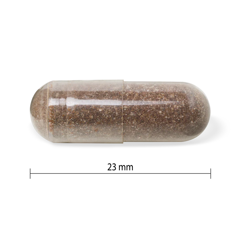 Jamieson Complete Gut Health Probiotic 3 in 1