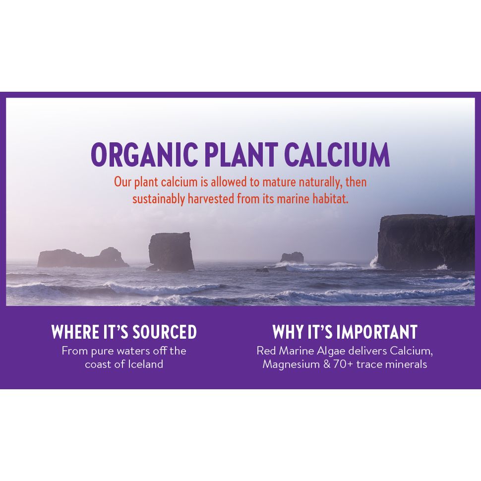 New Chapter® Bone Strength Take Care™