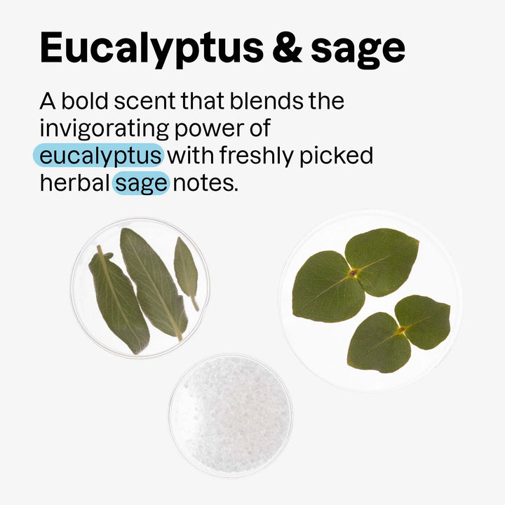 Attitude® Super Leaves™  2 in 1 Men's Scalp Care Shampoo & Conditioner Eucalyptus & Sage