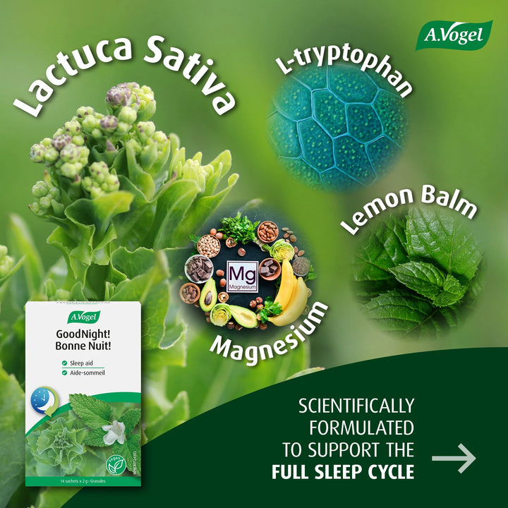 A.Vogel - GoodNight! Granules