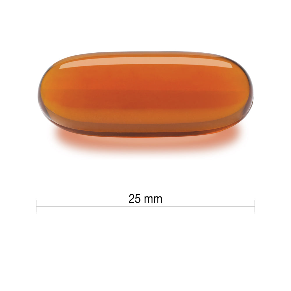 Jamieson Lecithin Softgels 1,200 mg