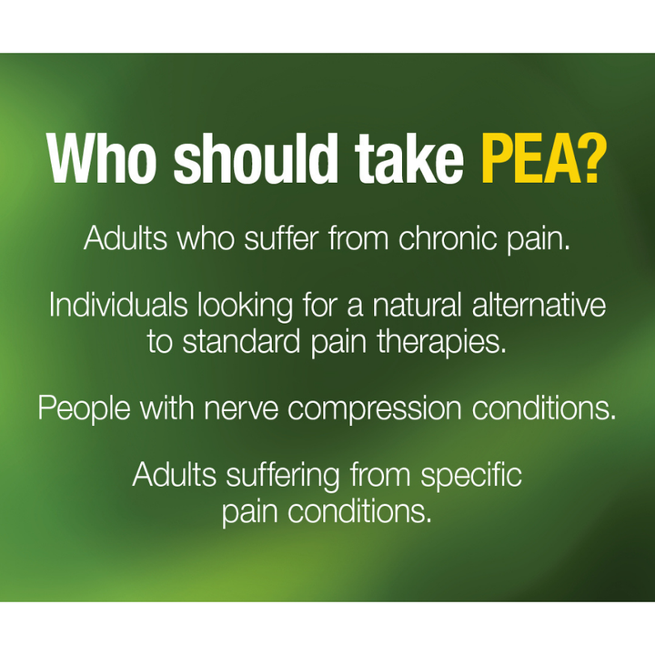 PEA400 Palmitoylethanolamide Vegetarian Capsules