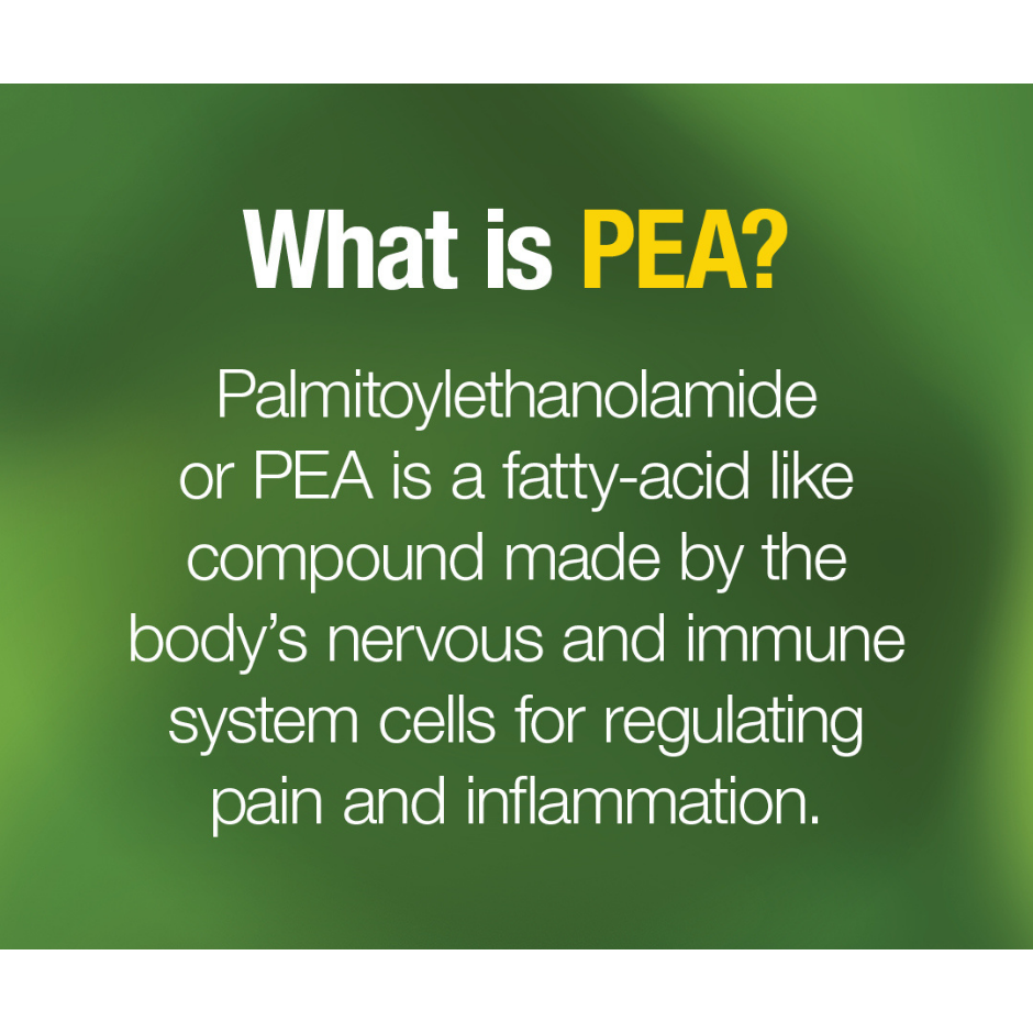 PEA400 Palmitoylethanolamide Vegetarian Capsules