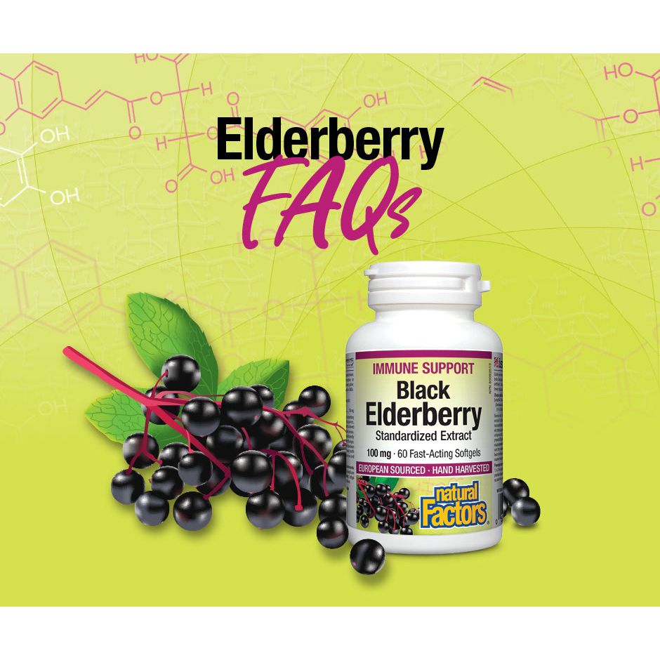 Black Elderberry Standardized Extract 100 mg