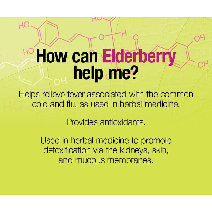 Black Elderberry Standardized Extract 100 mg