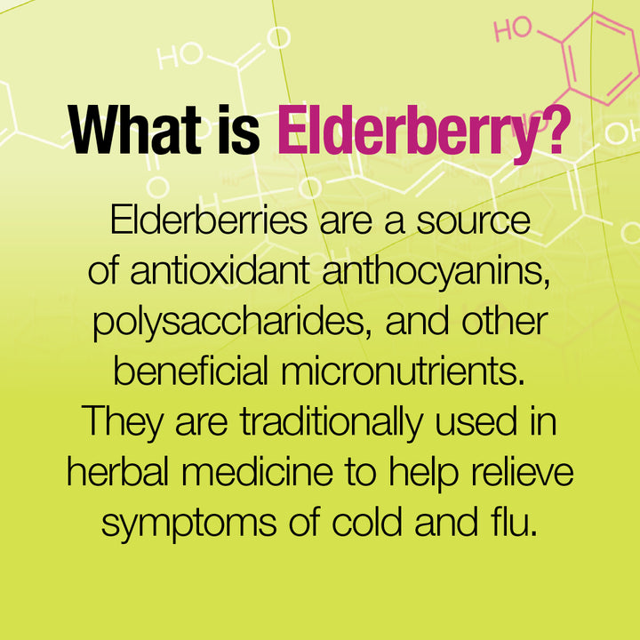 Black Elderberry Standardized Extract 100 mg