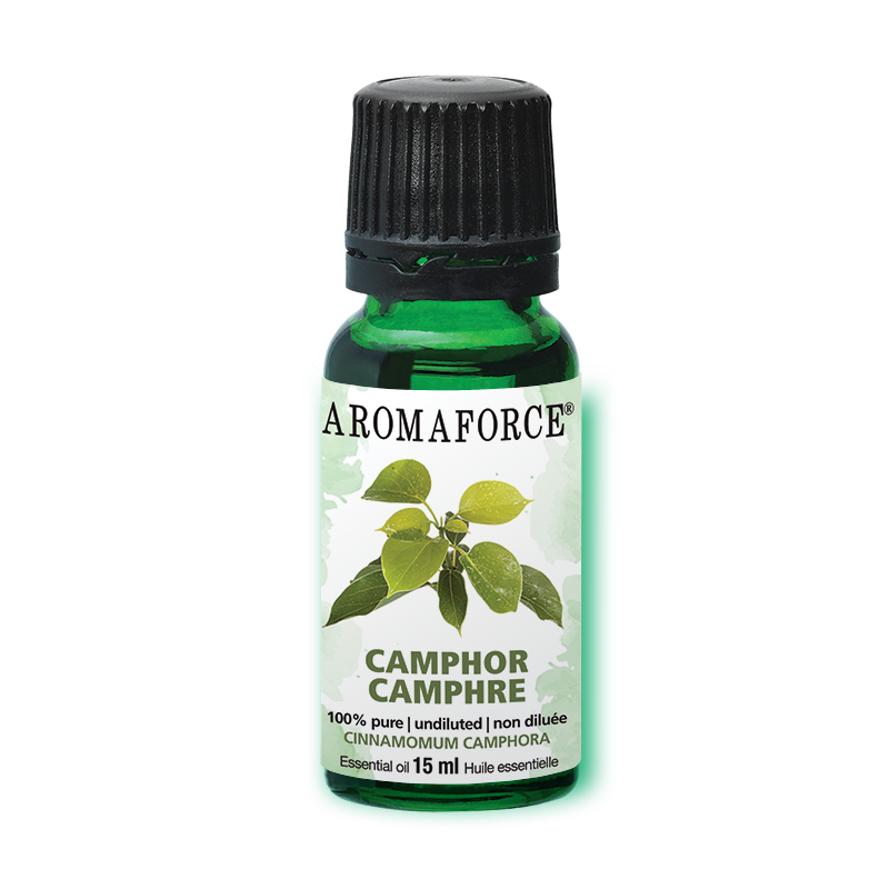 Camphor Essential Oil, 15ml