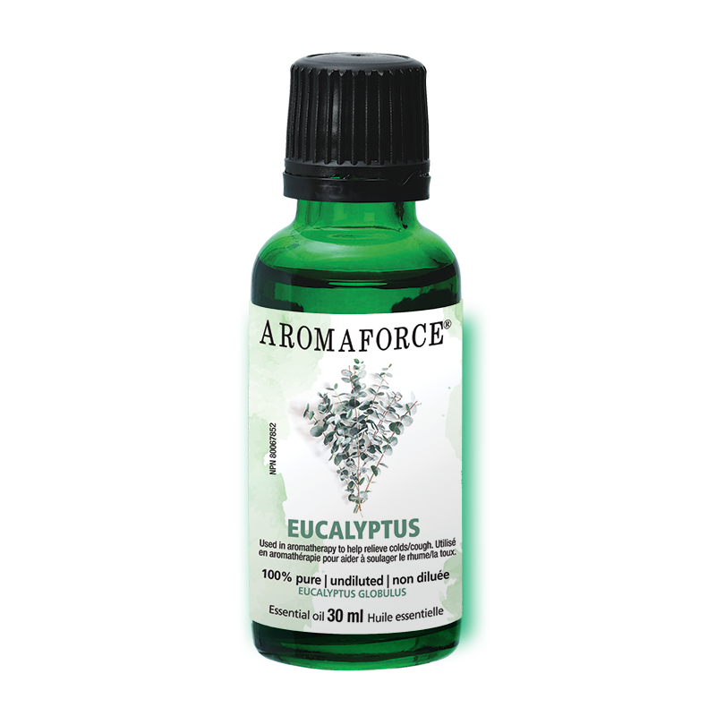 Eucalyptus Essential Oil, 30 ml