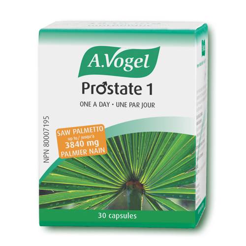 A.Vogel - Prostate 1
