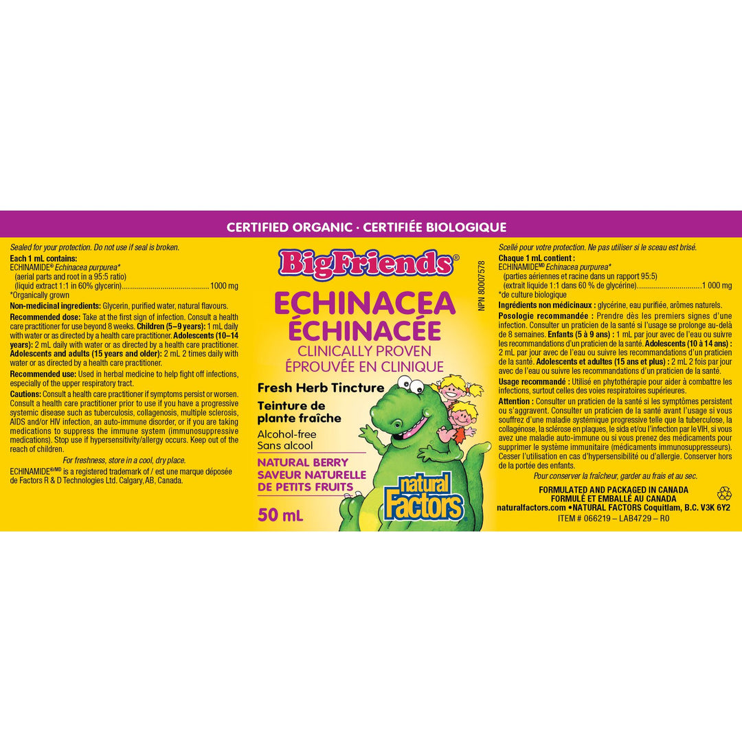 Natural Factors Big Friends Echinacea Natural Berry
