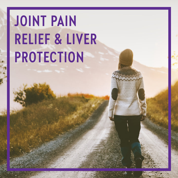 New Chapter® Turmeric Force™