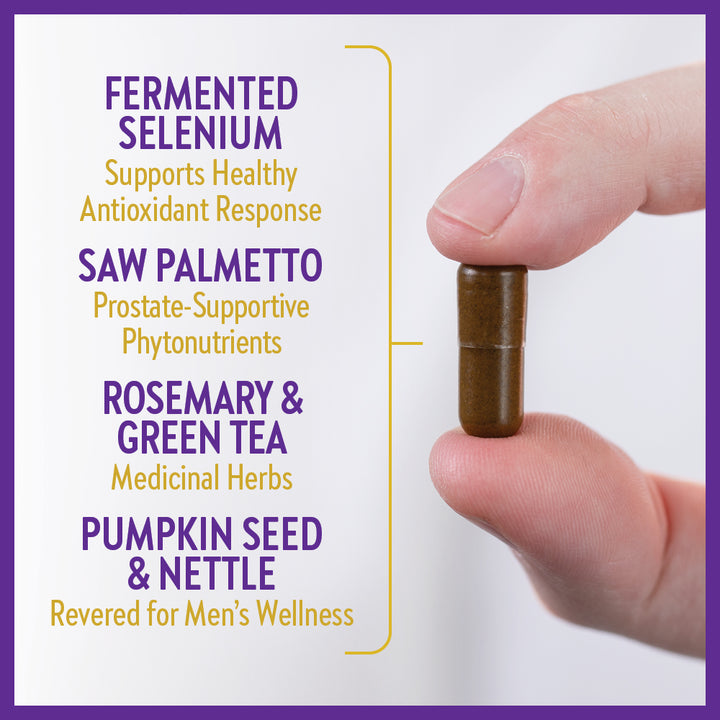 New Chapter® Prostate 5LX Saw Palmetto Blend