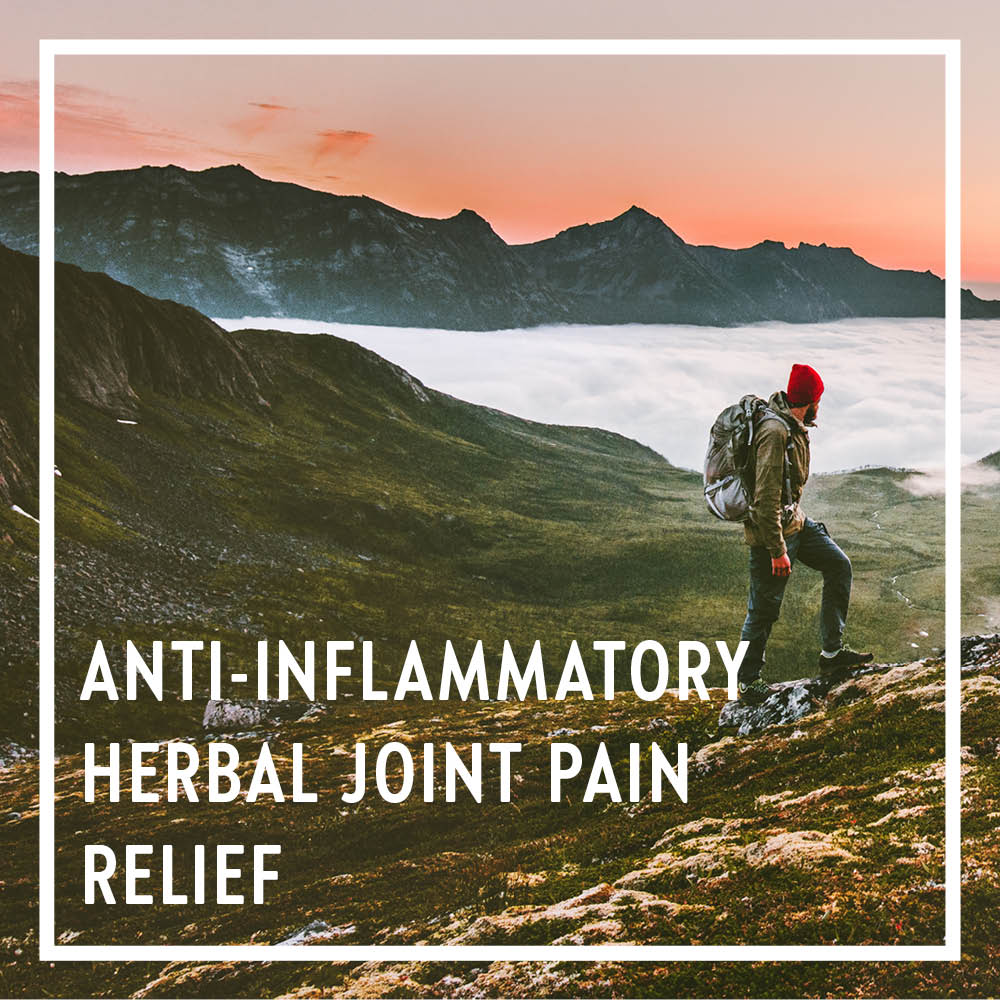 New Chapter® Zyflamend™ Herbal Pain Relief & Inflammation Support