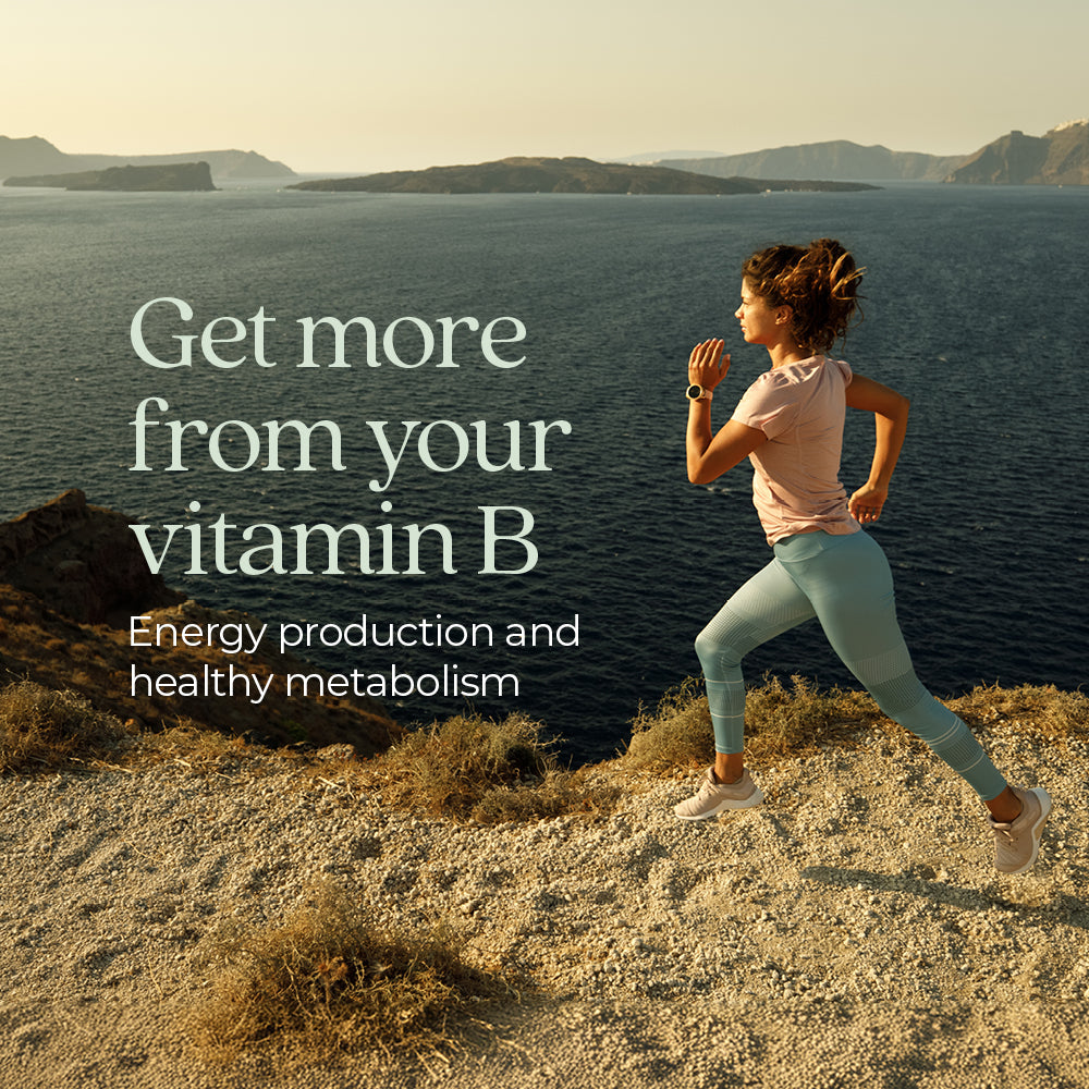 New Chapter® Fermented Coenzyme B Complex