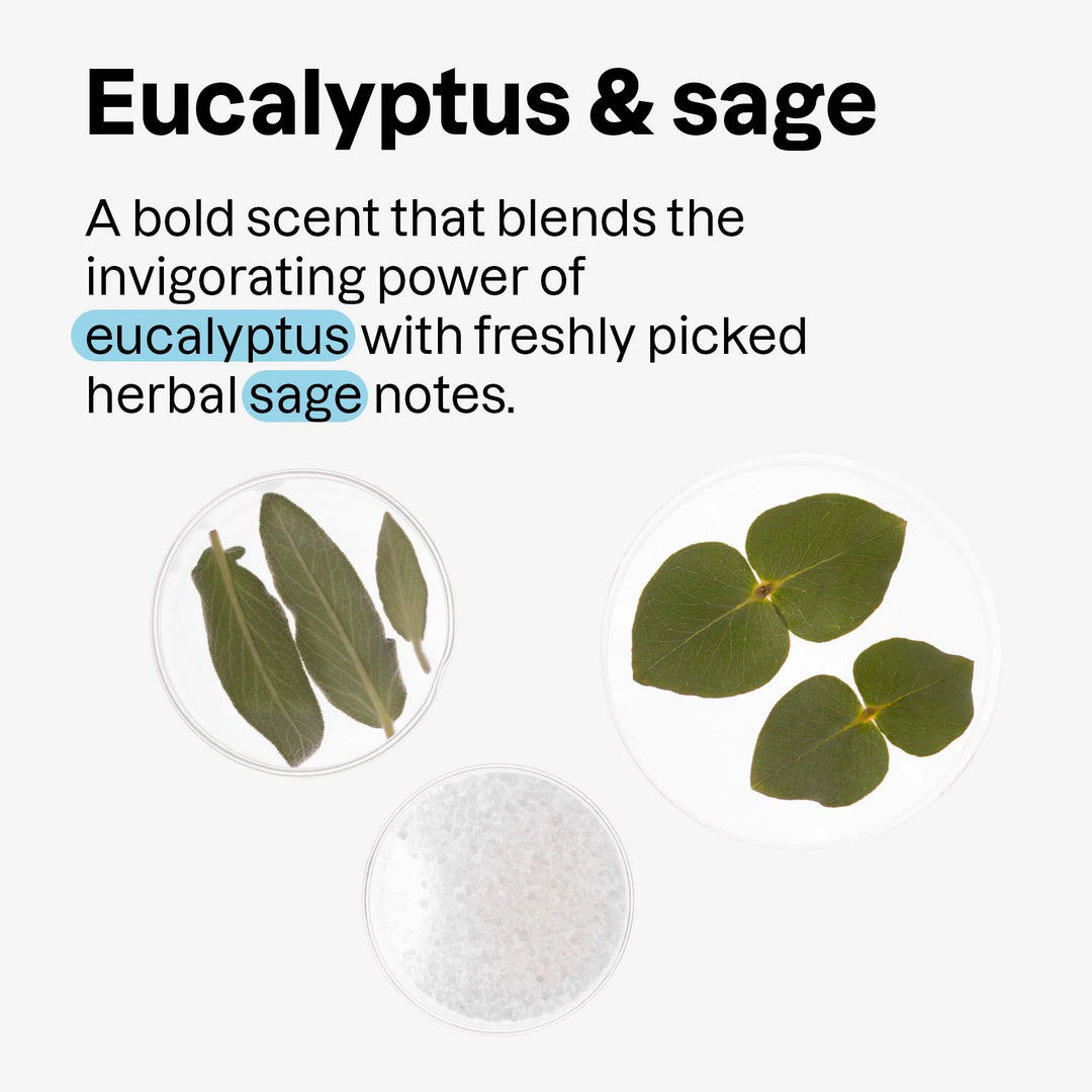 Attitude® Super Leaves™  2 in 1 Men's Scalp Care Shampoo & Conditioner Eucalyptus & Sage