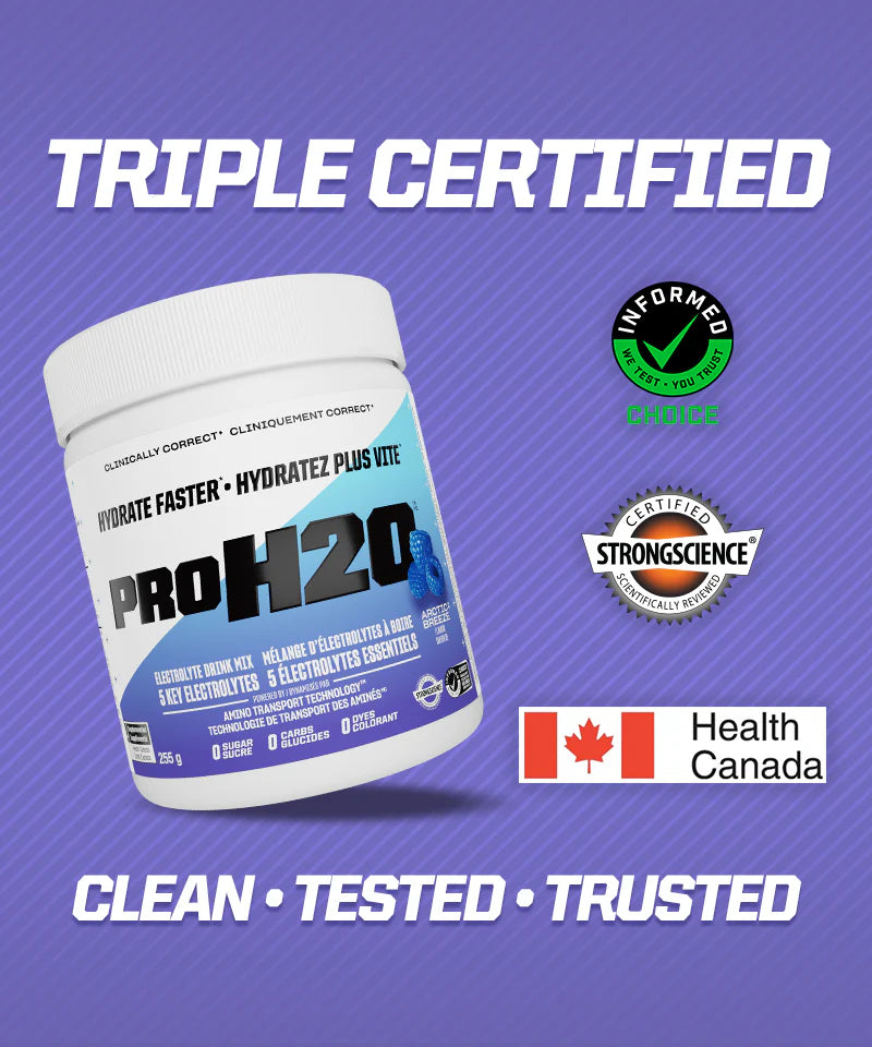 PVL - PROH20 Hydrate Faster, Arctic Breeze