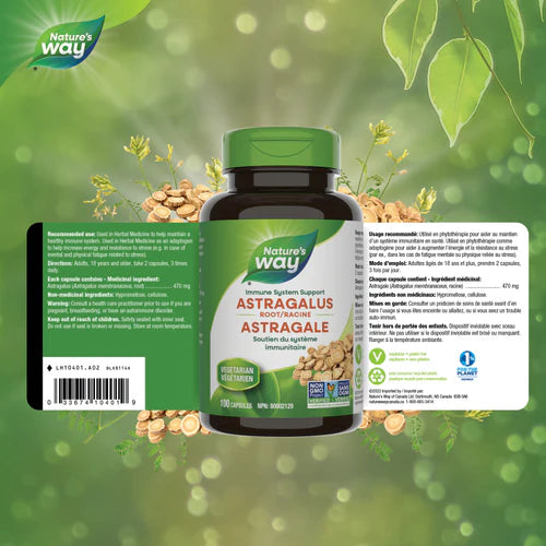 Nature's Way Astragalus Root