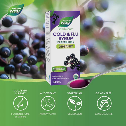 Nature's Way Organic Sambucus Cold and Flu Care Syrup