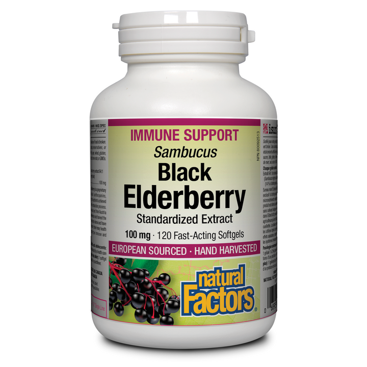 Black Elderberry Standardized Extract 100 mg