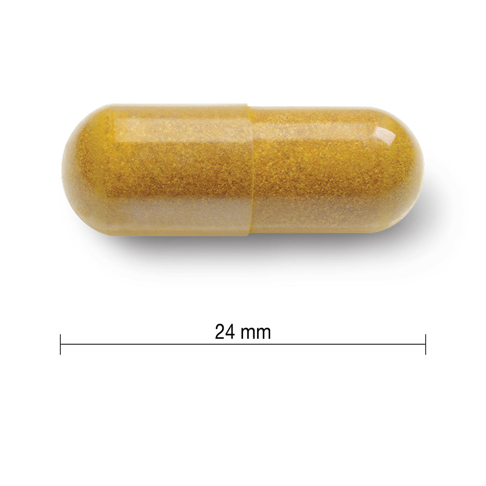 Jamieson High Potency Curcumin Turmeric