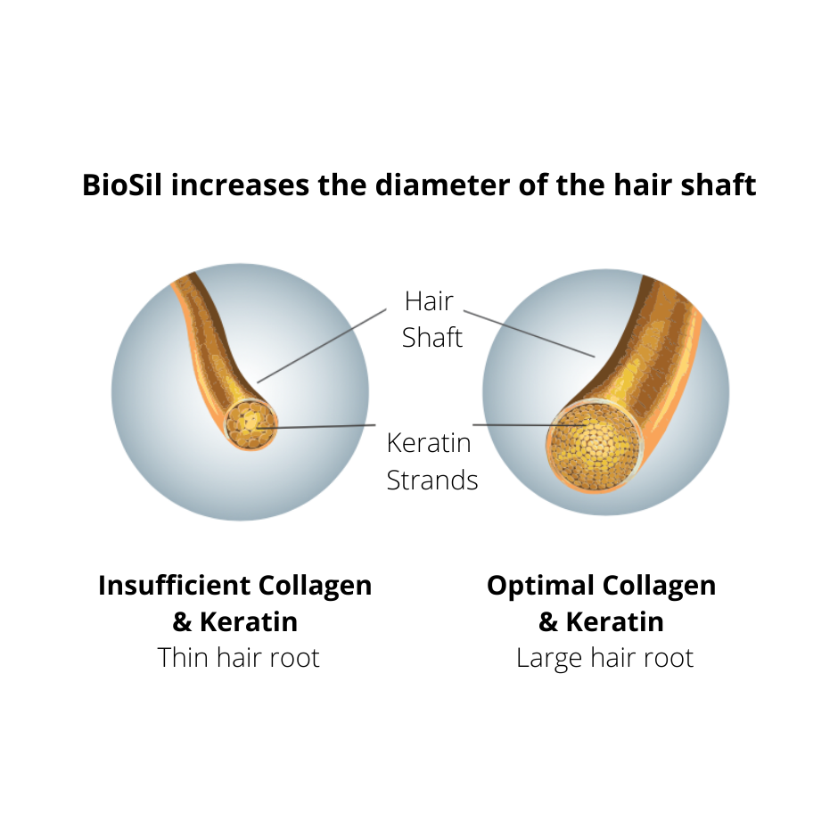 BioSil™ Choline-Stabilized Orthosilicic Acid® Hair • Skin • Nails Liquid
