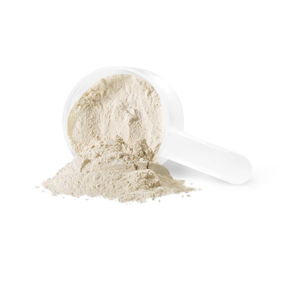 Iron Vegan Sprouted Protein Powder, Unflavoured