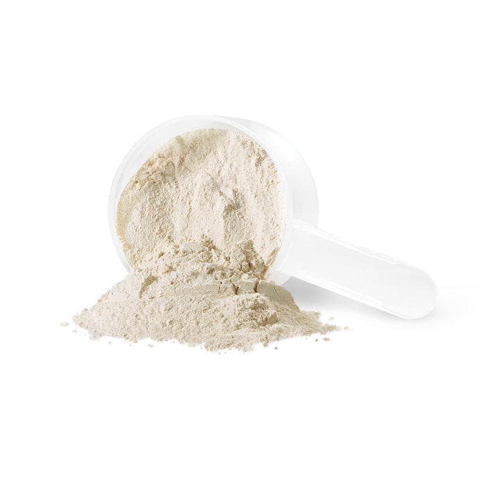 Iron Vegan Sprouted Protein Powder, Unflavoured