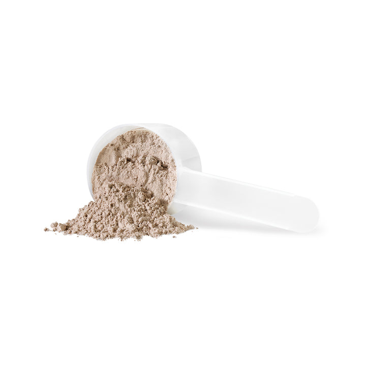 Iron Vegan Athlete's Blend Natural Chocolate